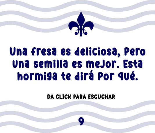 La Hormiga Y El Pájaro